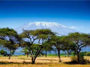 Правила оформления визы в Кению