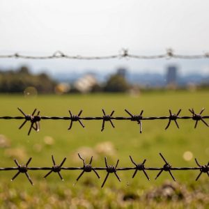 Особенности и области применения колючей проволоки